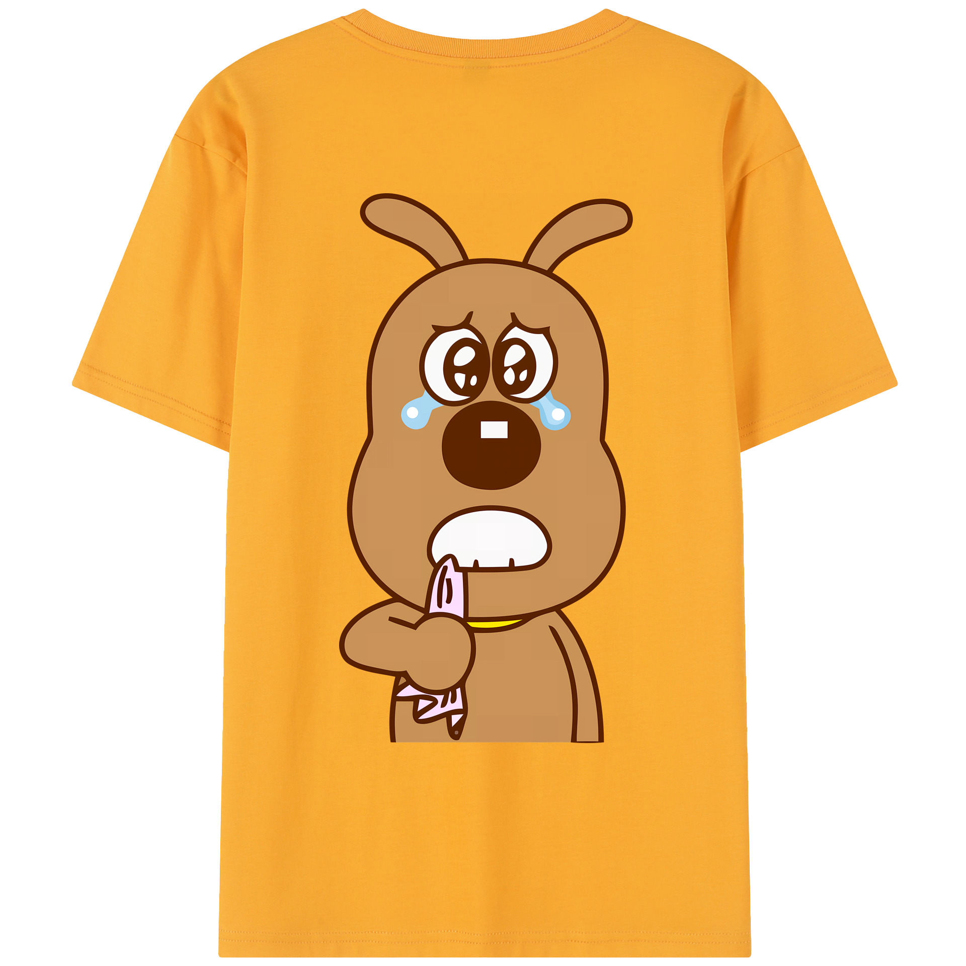 （画像用） アンパンマン Anpanman レディース半袖Tシャツ(バックプリント)