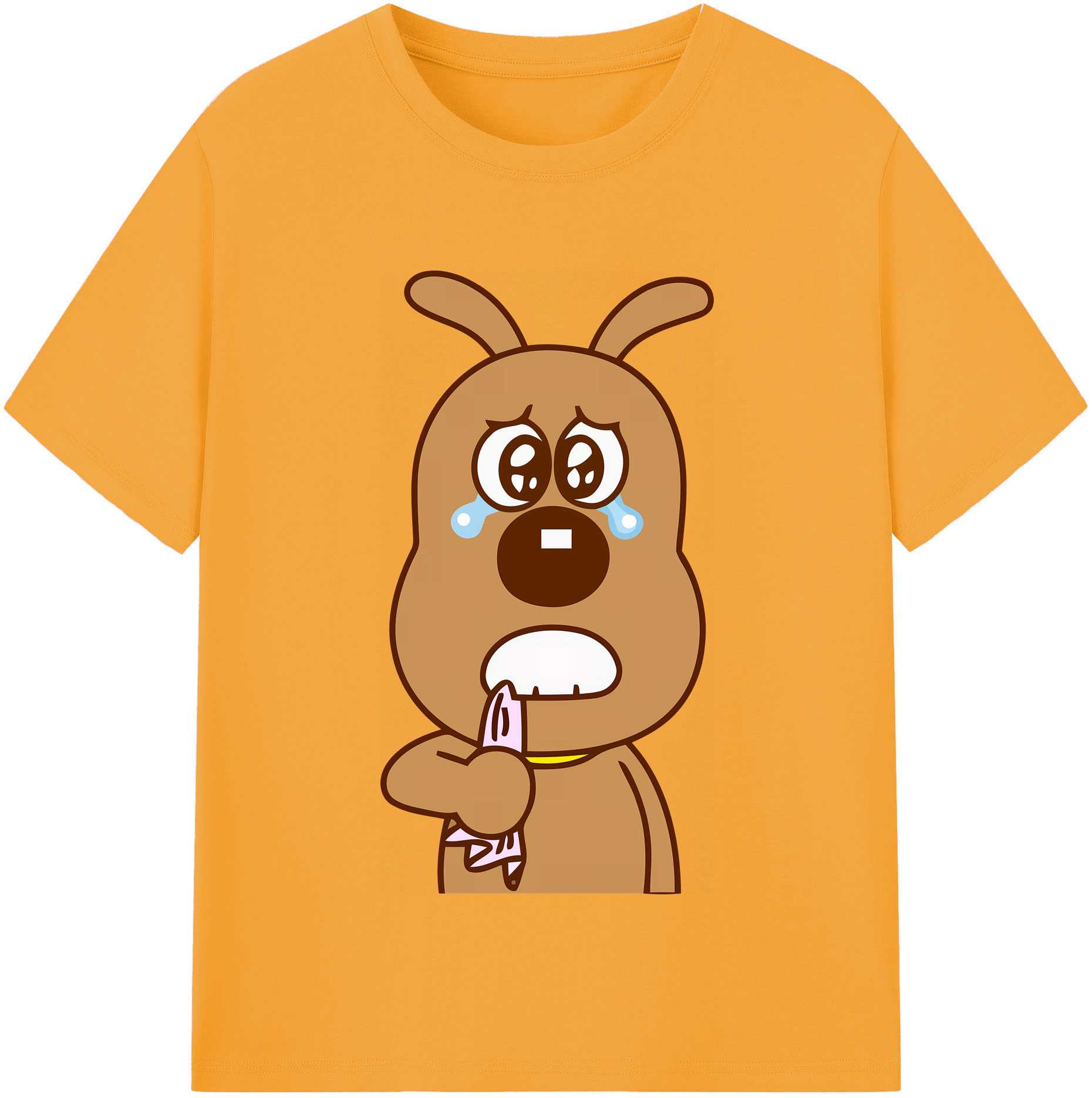 （画像用） アンパンマン Anpanman レディースカジュアルプリントTシャツ（綿100％）