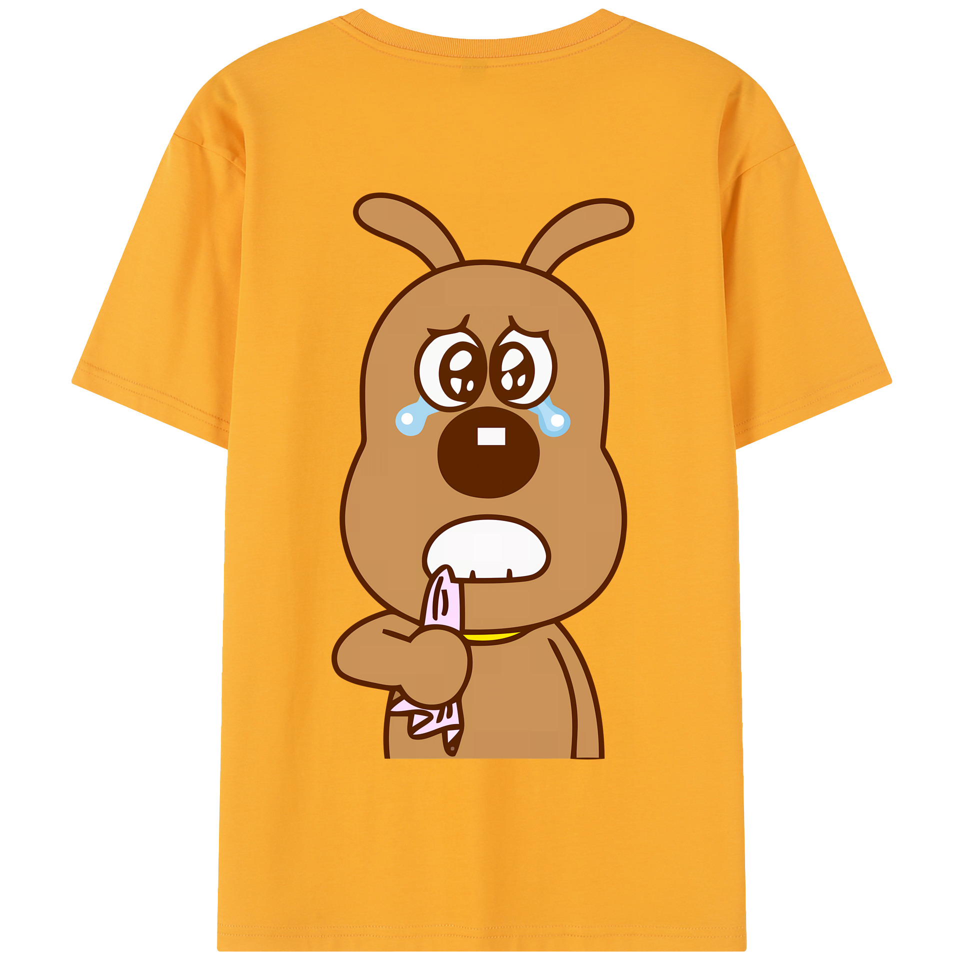 （画像用） アンパンマン Anpanman 綿100％半袖Tシャツ（背面プリント）