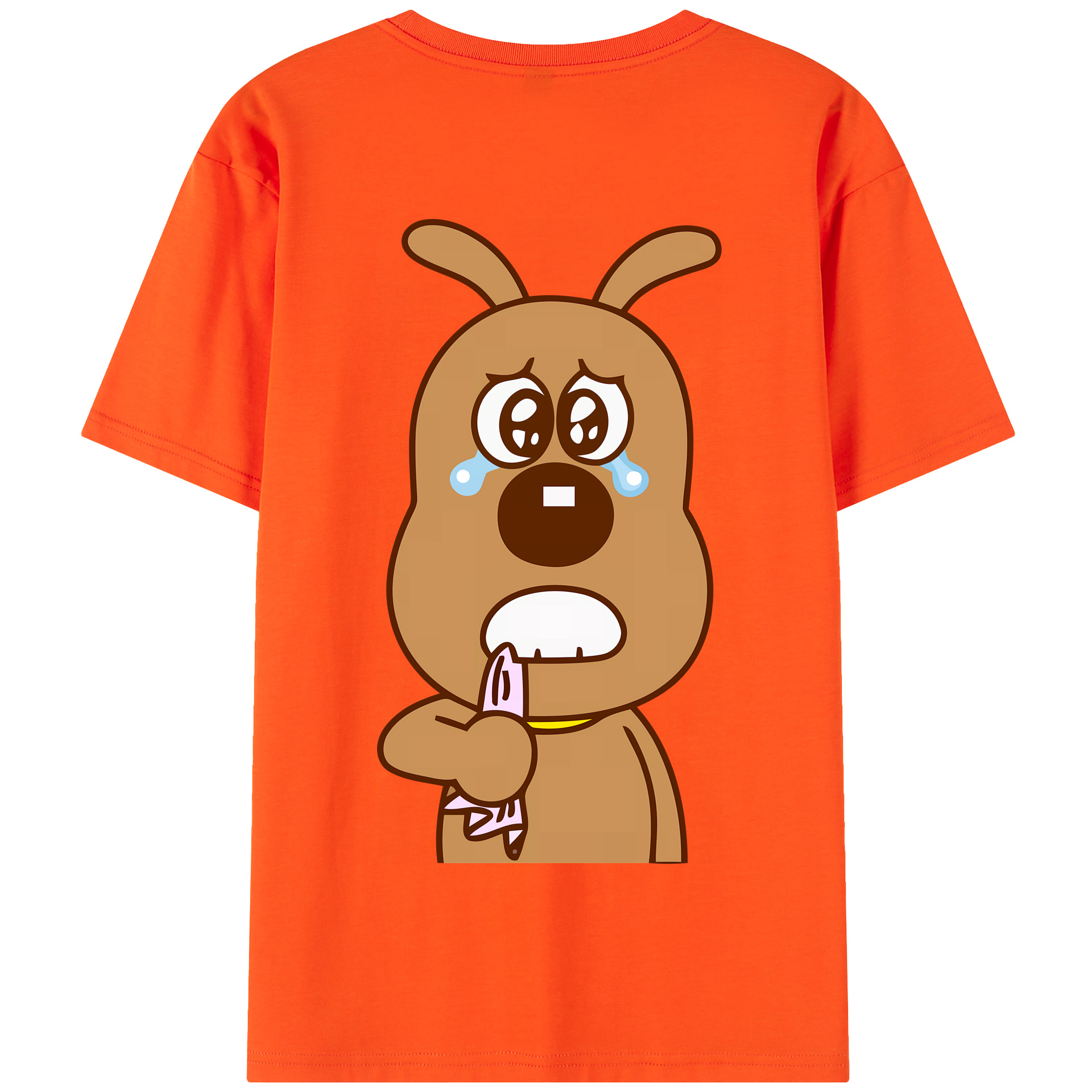 （画像用） アンパンマン Anpanman 綿100％半袖Tシャツ（背面プリント）